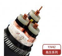 粗钢丝铠装电力电缆YJV42